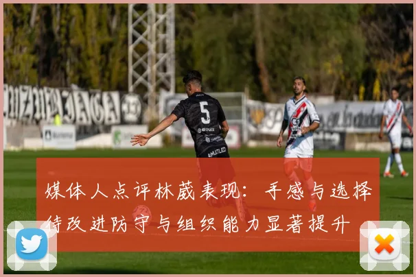 媒体人点评林葳表现：手感与选择待改进防守与组织能力显著提升