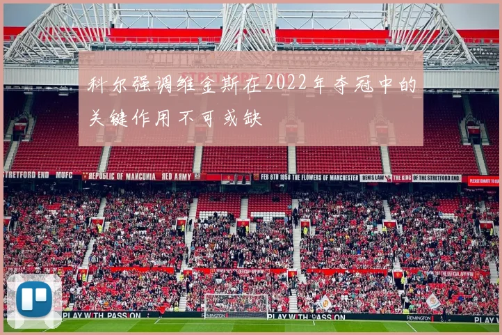 科尔强调维金斯在2022年夺冠中的关键作用不可或缺