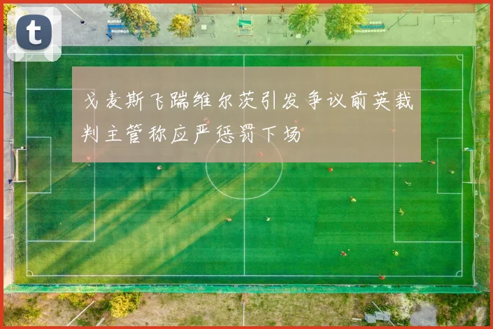 戈麦斯飞踹维尔茨引发争议前英裁判主管称应严惩罚下场