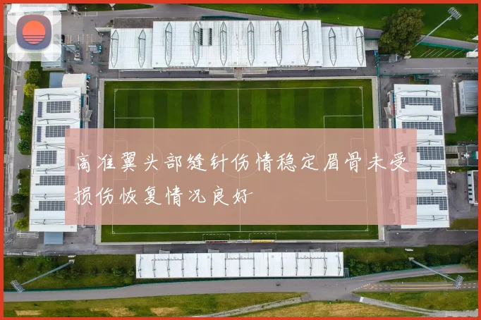 高准翼头部缝针伤情稳定眉骨未受损伤恢复情况良好