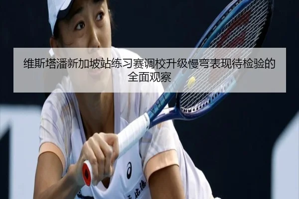维斯塔潘新加坡站练习赛调校升级慢弯表现待检验的全面观察 - TIANBOSPORTS